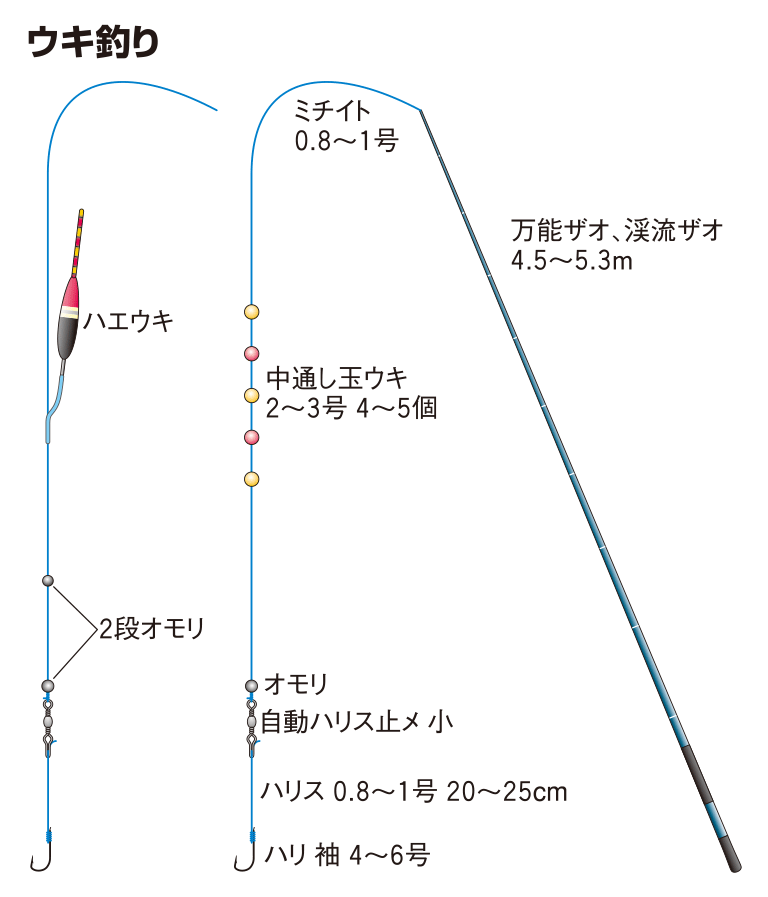 ウミタナゴの仕掛け ウキ釣り 釣魚図鑑 特徴 仕掛け さばき方 Honda釣り倶楽部 Honda