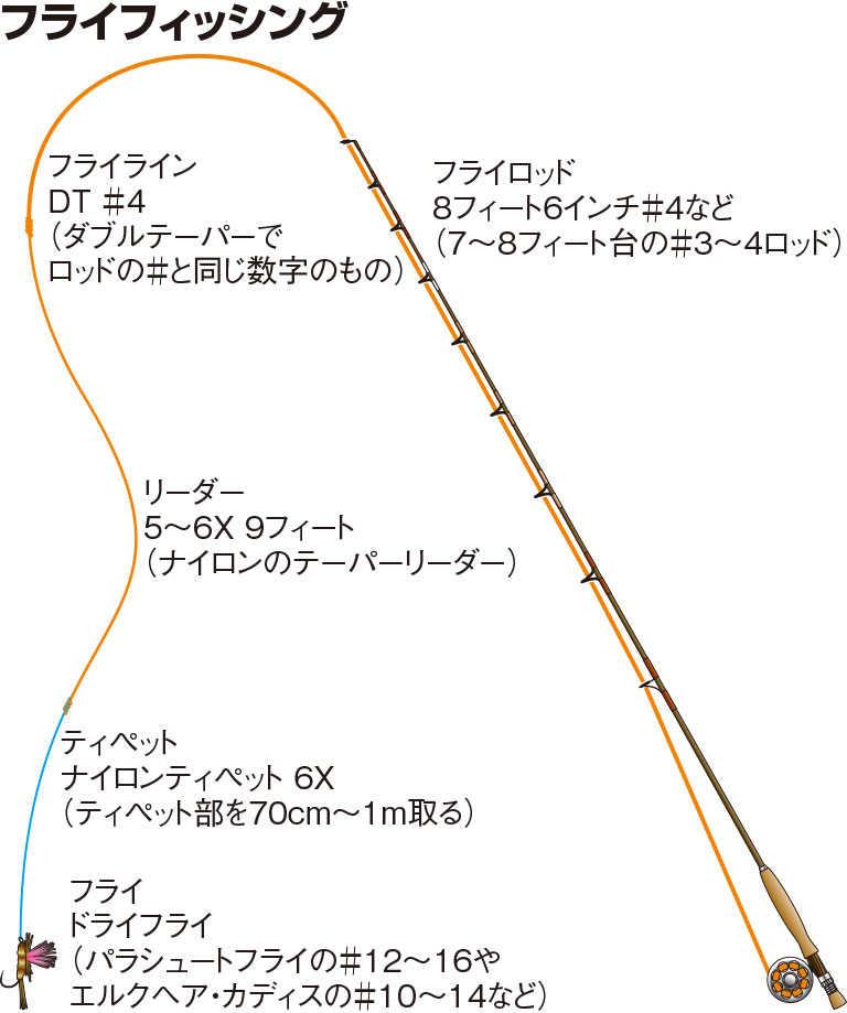 ヤマメの仕掛け フライ テンカラ ルアー エサ釣り 釣魚図鑑 特徴 仕掛け さばき方 Honda釣り倶楽部 Honda