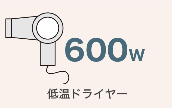 低温ドライヤー 600w