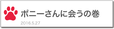 ポニーさんに会うの巻