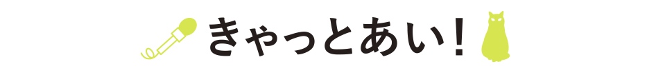 きゃっとあい