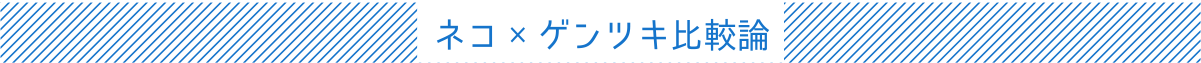 ネコxゲンツキ比較論