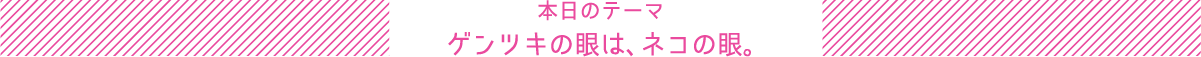 本日のテーマ