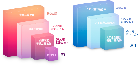 排気量別でみる免許区分