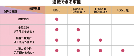 運転できる車種