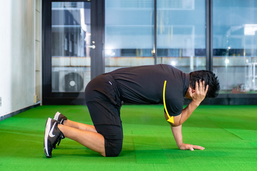 スイングが良くなる体幹トレーニング Part1 スコアアップにつながるゴルフ理論 Honda Golf Honda