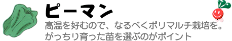 ピーマン