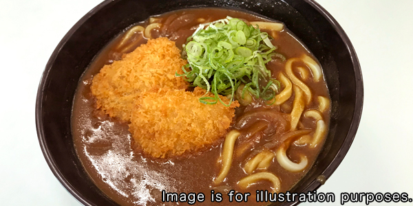 Cutlet Curry Udon Noodles