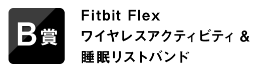 B賞 Fitbit Flex ワイヤレスアクティビティ＆睡眠リストバンド