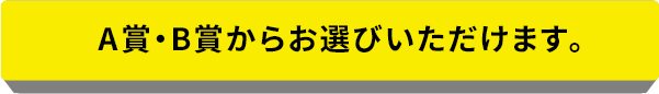 A賞・B賞からお選びいただけます。