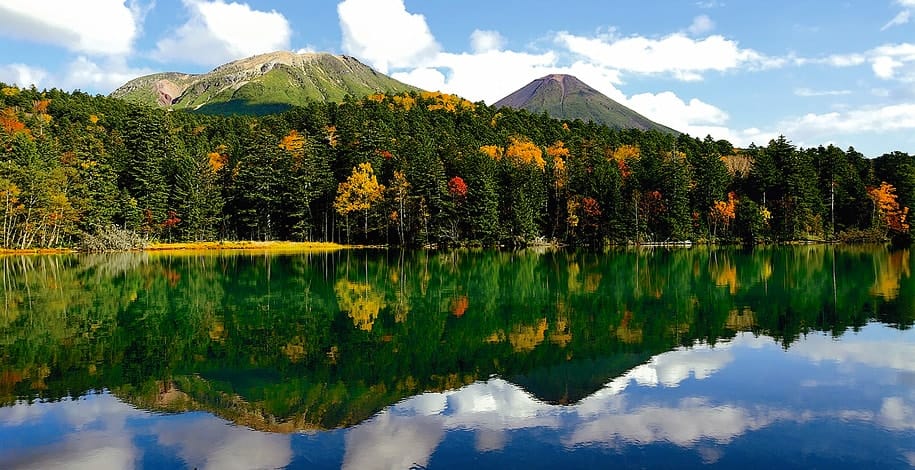 なぜ赤くなる？ 紅葉のしくみやきれいな紅葉が見られる条件を解明！