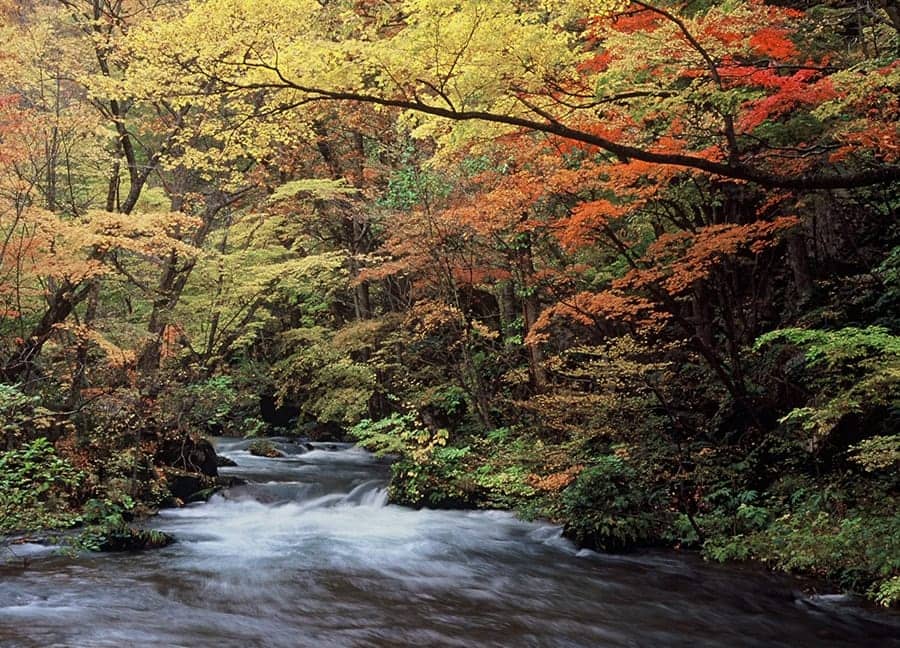 奥入瀬渓流（青森県）