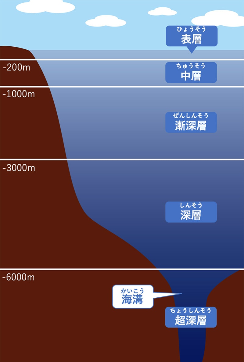 深海ってどんな場所 マイペースにくらす深海生物のふしぎな生態 Honda Kids キッズ Honda