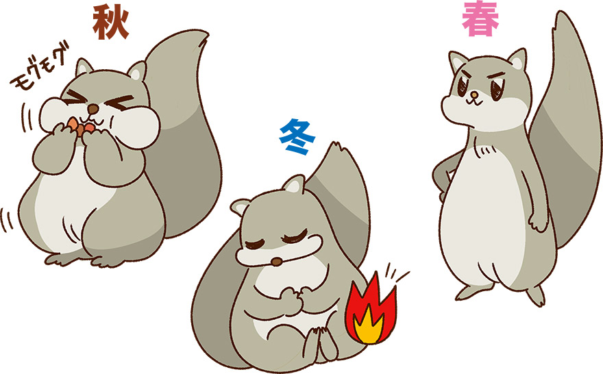 人間の冬眠は医学や科学にどのような影響を与えるのでしょうか?