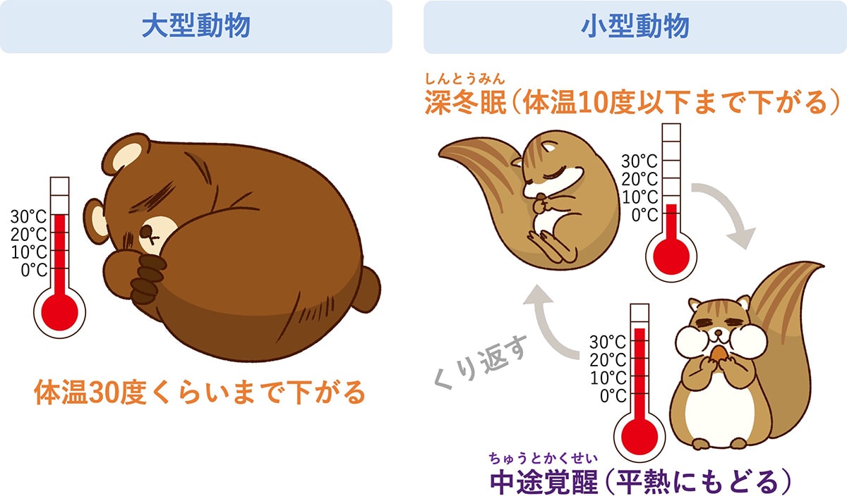 のびる 生理 ドロドロ