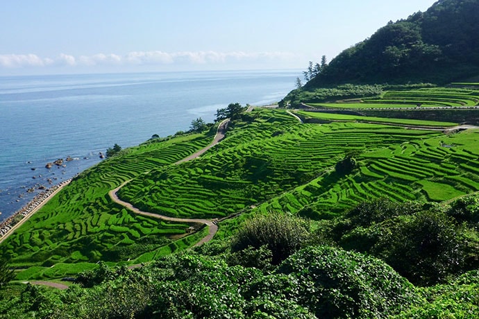 白米千枚田（石川県輪島市）