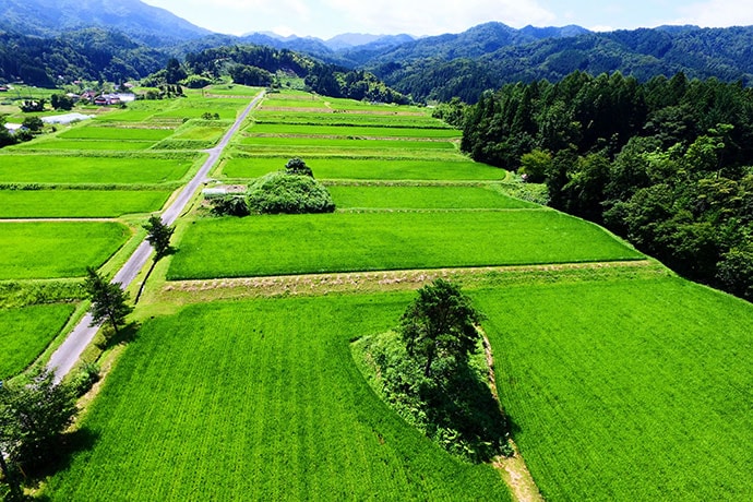 奥出雲町の棚田（島根県奥出雲町）