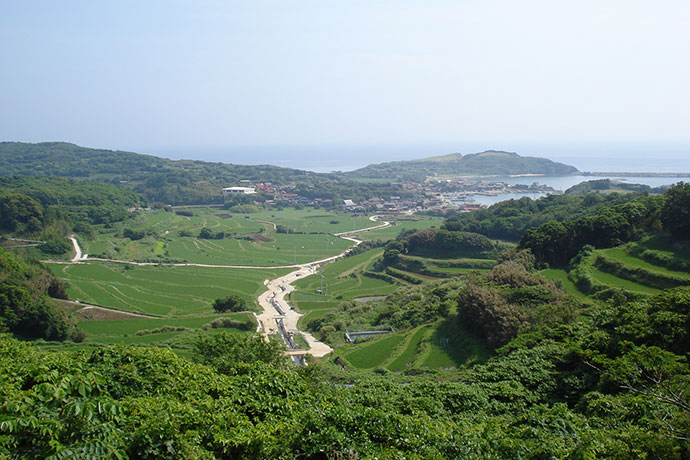 宇津の棚田（山口県萩市見島）