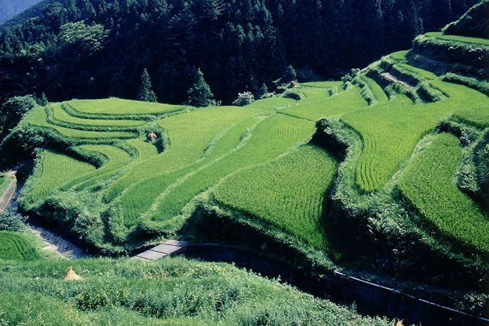 樫原の棚田（徳島県上勝町）