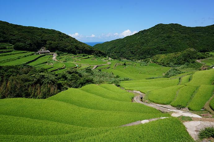 春日の棚田（長崎県平戸市）