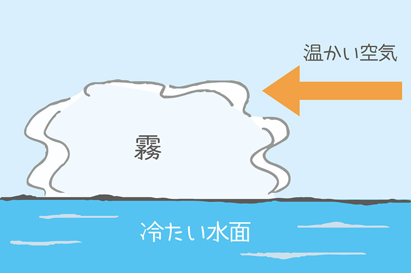 海霧