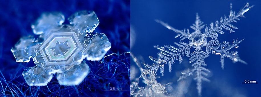 雪の結晶 の形から空のようすを推理しよう Honda Kids キッズ Honda公式サイト