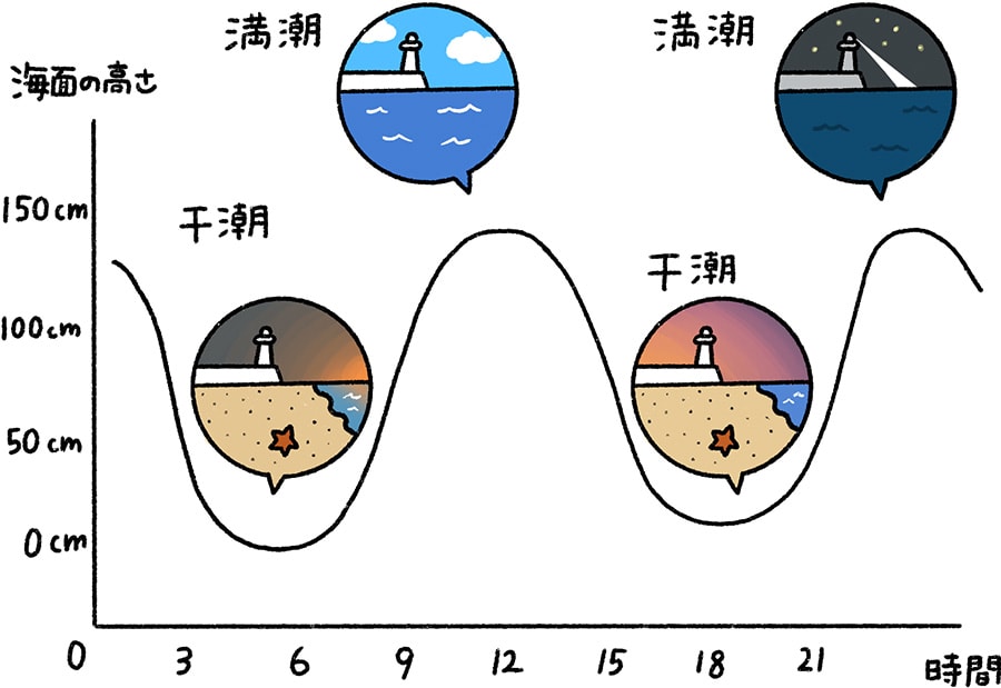 海の水が月や太陽に引っぱられる！？ 潮の満ち引きのふしぎ | Honda Kids（キッズ） | Honda公式サイト