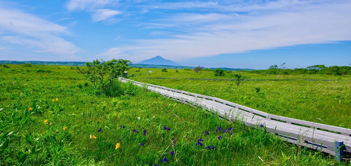 日本人の心のふるさと 水をたたえた草原 湿原 のふしぎとナゾ Honda Kids キッズ Honda