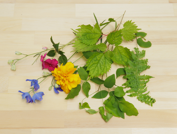 植物の細胞がこわれて、色素が布にうつる
