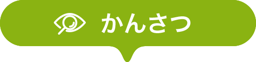 かんさつ