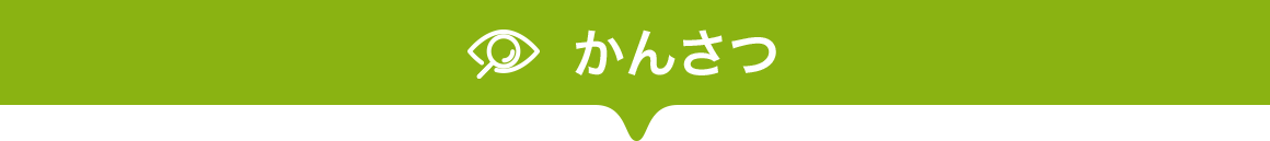 1日でできる 小学生の自由研究テーマ一覧 Honda Kids キッズ Honda 1日でできる 小学生の自由研究テーマ一覧 Honda Kids キッズ Honda