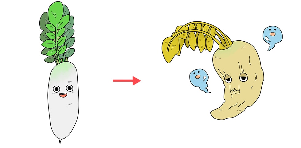 やさいはほとんどが水分でできています。どのやさいにも、ひょうめんには目に見えないくらいの小さなあながあいていて、中の水分だけがやさいのそとに出ることができます。やさいをほすと、このあなから中の水が出ていってしまうので、シワシワになってしまうのです。シワシワになってかるくなったぶんのおもさが、やさいの体から出ていった水分です。しんせんなやさいほど、水分がおおくてピチピチしています。