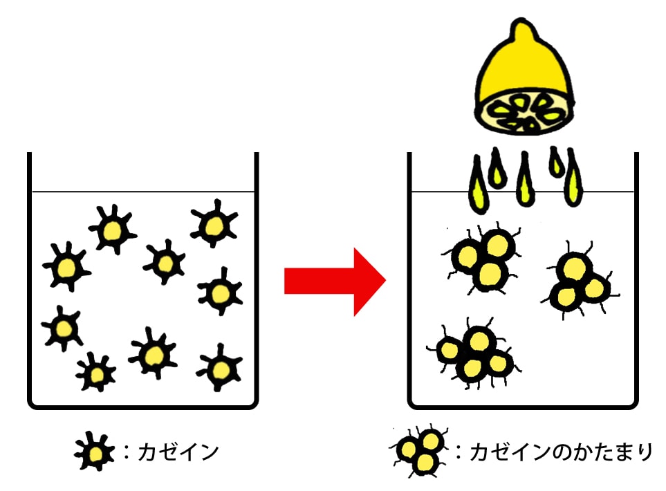 カゼインの固まり