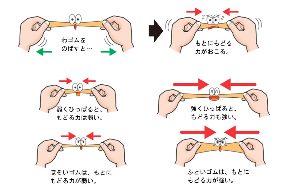 ゴムをのばすと、もとにもどる力がおこるよ。