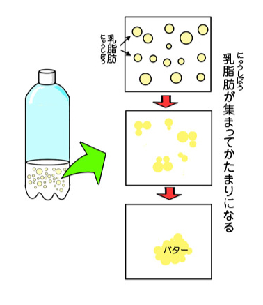 バターになるしくみ