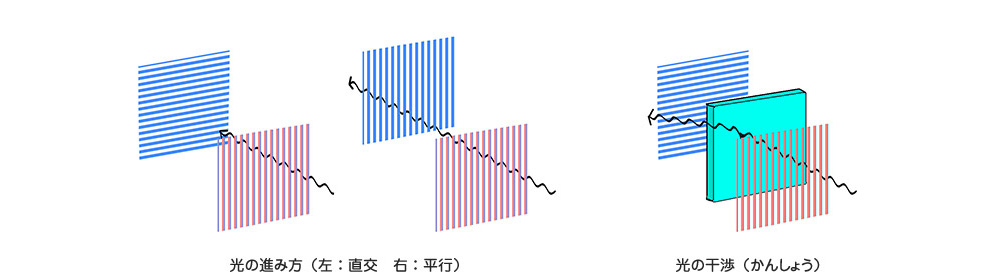 光の進み方と干渉