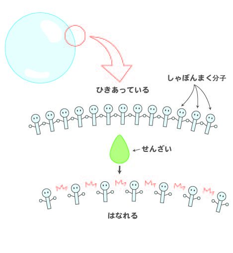 表面張力のしくみ