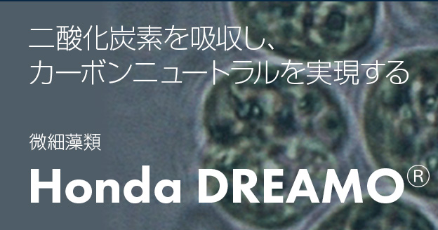 Honda DREAMO