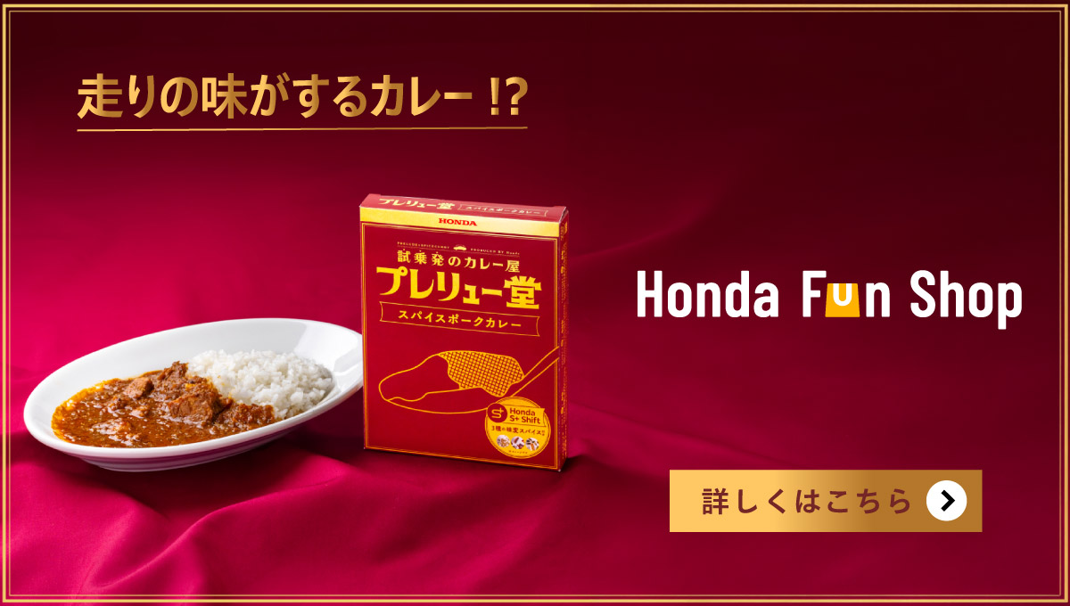 プレリュー堂 スパイスポークカレー