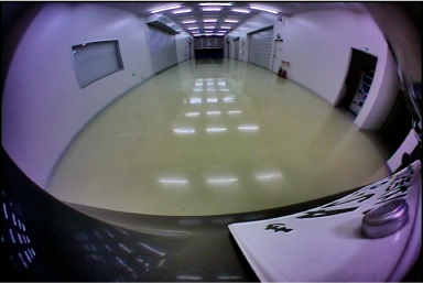 �H�ʂɖ͗l���Ȃ����򂪂���A���z����Ɩ��Ȃǂ��H�ʂɔ��˂��Č����Ă���