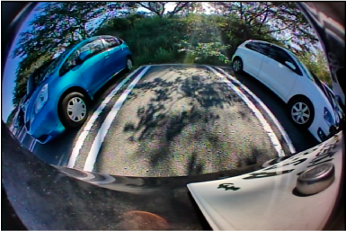 �H�ʂɖ؉A�̗h��Ȃǂ̕ω�������