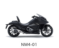 NM4-01