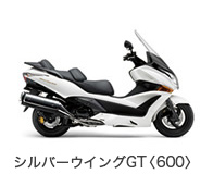 シルバーウイングGT<600>