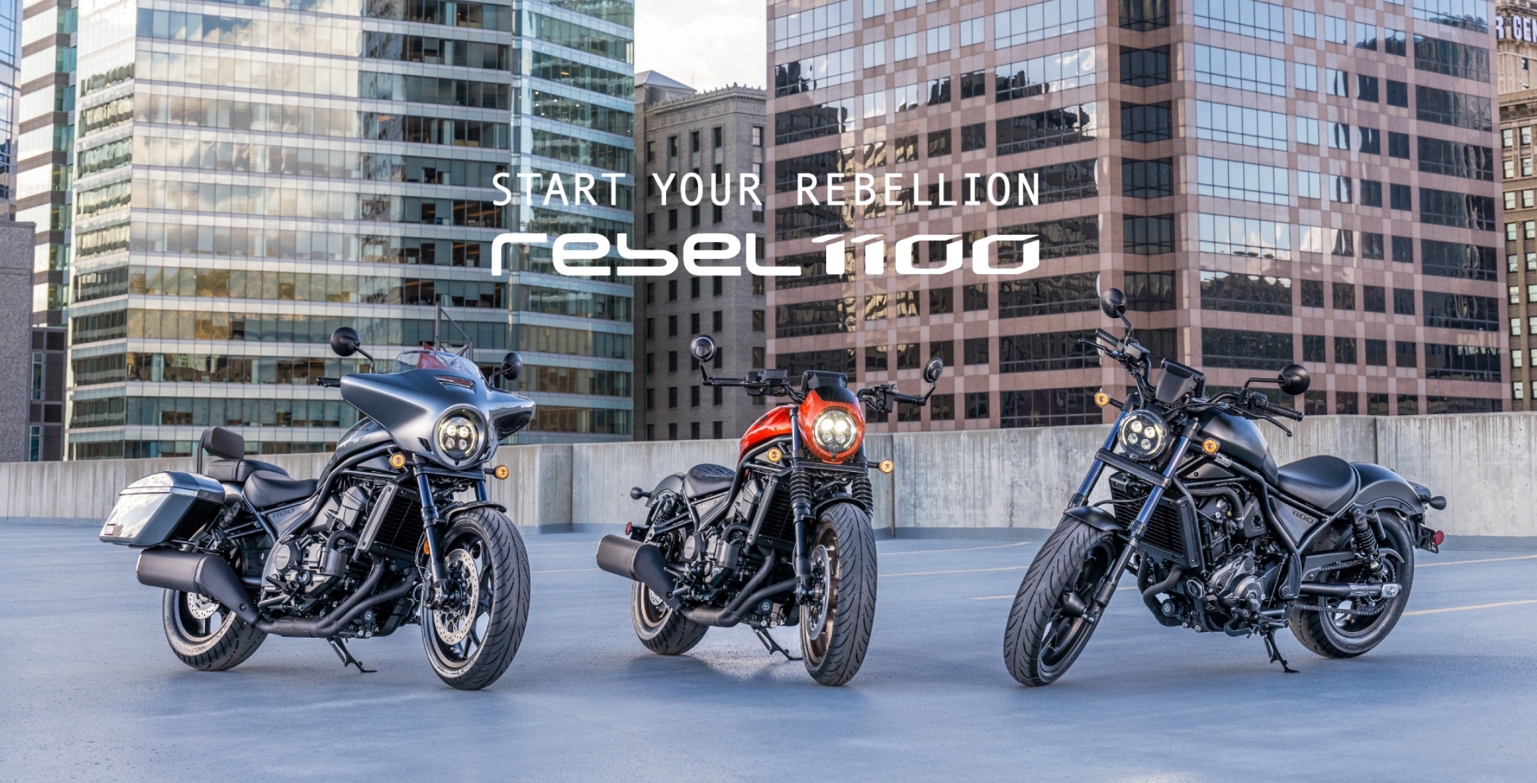 rebel1100