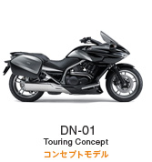 DN-01 Touring Concept RZvgf