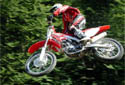 CRF450̈ʌJő{[