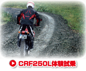 CRF250Ľ