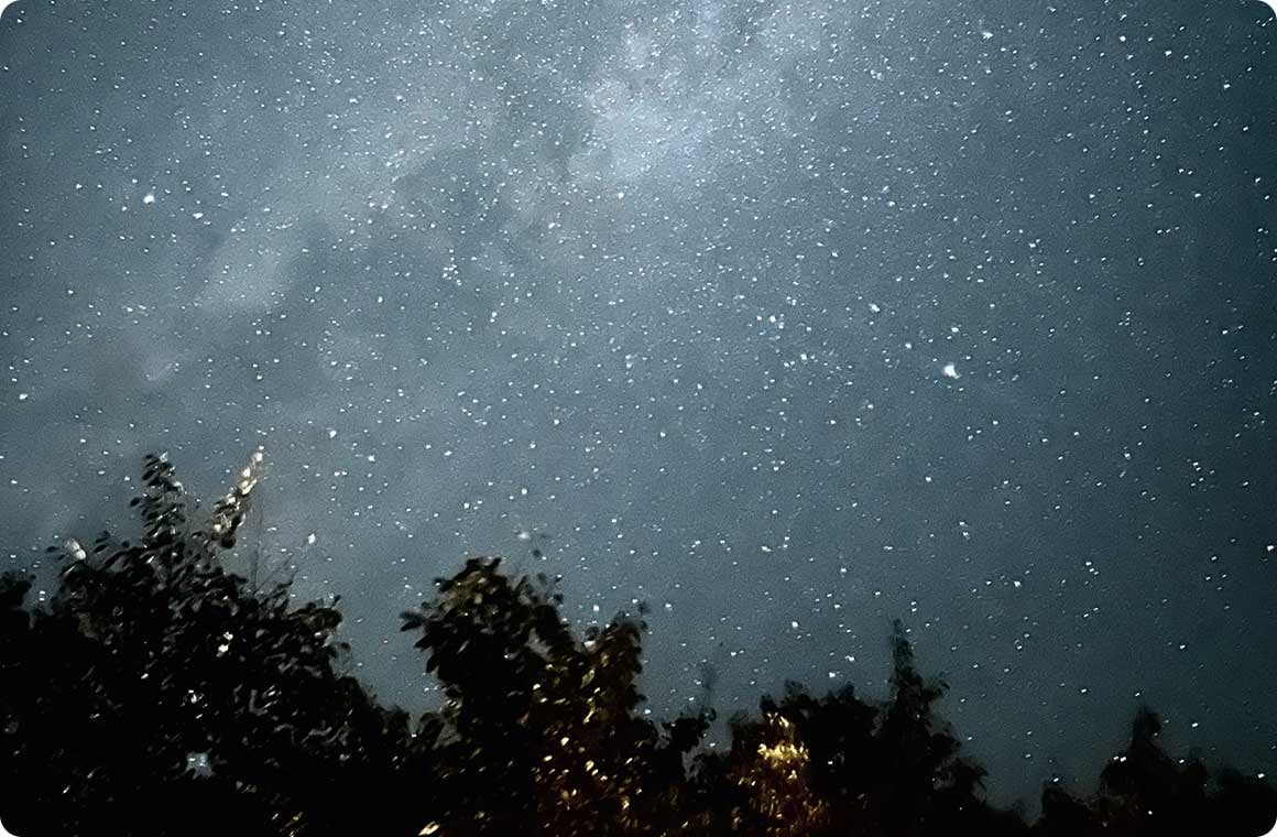 キャンプ場内の草原広場から見た星空