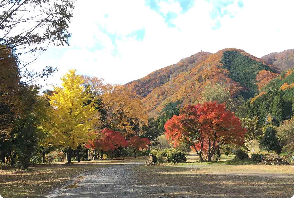サイトの全景。周囲の山々の紅葉を眺めながらキャンプを満喫！