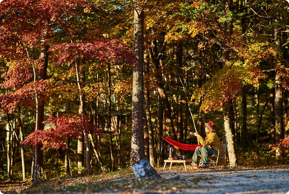 白樺の林間サイトは雰囲気が抜群にいい。紅葉の時期はまた格別